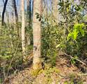 Lot 5 Carringer Road - Photo 14
