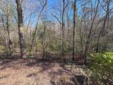 Lot 34c Snowbird Trail - Photo 4