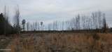 D08-79 Goose Creek Road - Photo 4