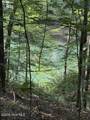 Lot 37 Quiet Waters Road - Photo 1
