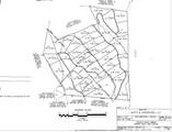 Lot 14 Ivy Log Road - Photo 1