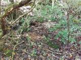 End of Tanglewood Ridge - Photo 20