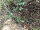 End of Tanglewood Ridge - Photo 23