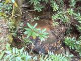 End of Tanglewood Ridge - Photo 24