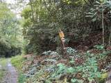 End of Tanglewood Ridge - Photo 25