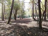 End of Tanglewood Ridge - Photo 33