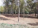 End of Tanglewood Ridge - Photo 36