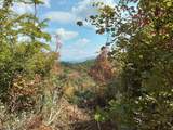 End of Tanglewood Ridge - Photo 6