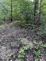 844 Sweet Raspberry Lane - Photo 10