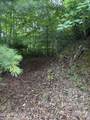 Lot 14 Mountain Vista Lane - Photo 3