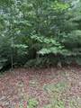 Lot 14 Mountain Vista Lane - Photo 4