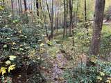 Lot 18 Black Bear Trail - Photo 10