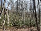 Lot 18 Black Bear Trail - Photo 2