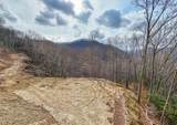 Lot 20 Walnut Cove Branch - Photo 1