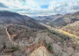 Lot 20 Walnut Cove Branch - Photo 11