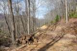 Lot 20 Walnut Cove Branch - Photo 15