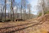 Lot 20 Walnut Cove Branch - Photo 16