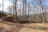 Lot 20 Walnut Cove Branch - Photo 17