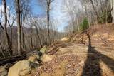 Lot 20 Walnut Cove Branch - Photo 18