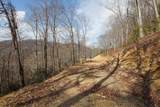 Lot 20 Walnut Cove Branch - Photo 19
