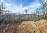 Lot 20 Walnut Cove Branch - Photo 2