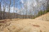 Lot 20 Walnut Cove Branch - Photo 21