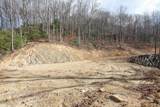 Lot 20 Walnut Cove Branch - Photo 22