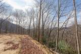 Lot 20 Walnut Cove Branch - Photo 24