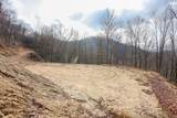 Lot 20 Walnut Cove Branch - Photo 25