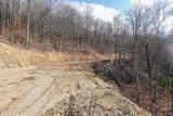 Lot 20 Walnut Cove Branch - Photo 26