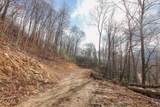 Lot 20 Walnut Cove Branch - Photo 27