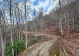 Lot 20 Walnut Cove Branch - Photo 3