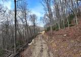 Lot 20 Walnut Cove Branch - Photo 4