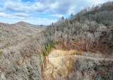Lot 20 Walnut Cove Branch - Photo 5