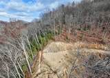 Lot 20 Walnut Cove Branch - Photo 6