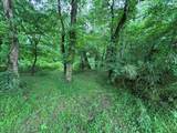 00 Green Acorn Lane - Photo 19