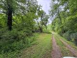 00 Green Acorn Lane - Photo 6