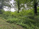 00 Green Acorn Lane - Photo 7