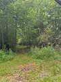00 Green Acorn Lane - Photo 9