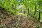 X Bee Branch Road - Photo 12