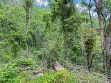 X Bee Branch Road - Photo 15