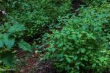 Lot M2 Georgianna Lane - Photo 9