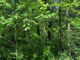 Lot 15 Paradise - Photo 8