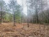 0 Flea Mountain Road - Photo 10