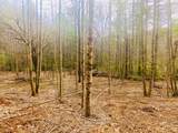 0 Flea Mountain Road - Photo 12