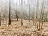 0 Flea Mountain Road - Photo 13