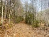 0 Flea Mountain Road - Photo 14