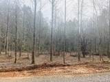0 Flea Mountain Road - Photo 15