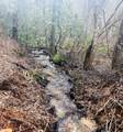 0 Flea Mountain Road - Photo 17