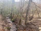 0 Flea Mountain Road - Photo 18